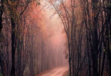 问鼎国际官网：法国队史共10次点球大战取得5胜5负，连续2次成功晋级.