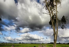 问鼎国际官网：詹姆斯24+7+8东契奇首秀14分 轻取爵士6连胜.