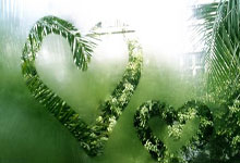 问鼎国际官网：官方：布莱顿签下韩国18岁边锋尹棹泳，球员7月1日正式加盟.