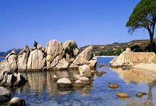 问鼎国际官网：【深度】国足哀兵之气不是实力 放弃幻想才能活下去.